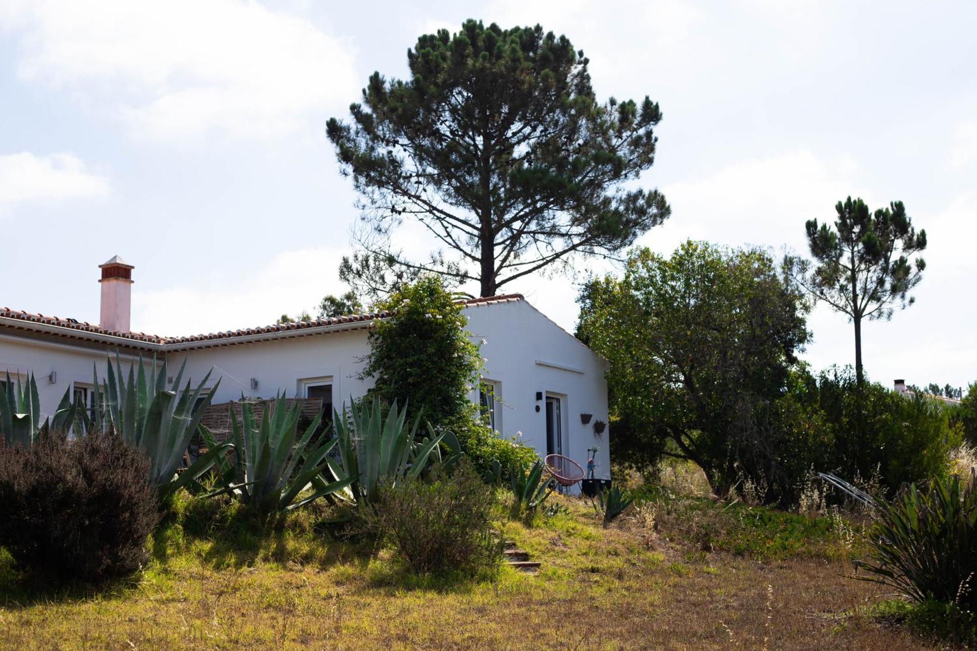 Monte Da Urze Aljezur - Agroturismo Exterior photo